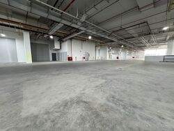 Ct Foodnex (D25), Warehouse #472720391